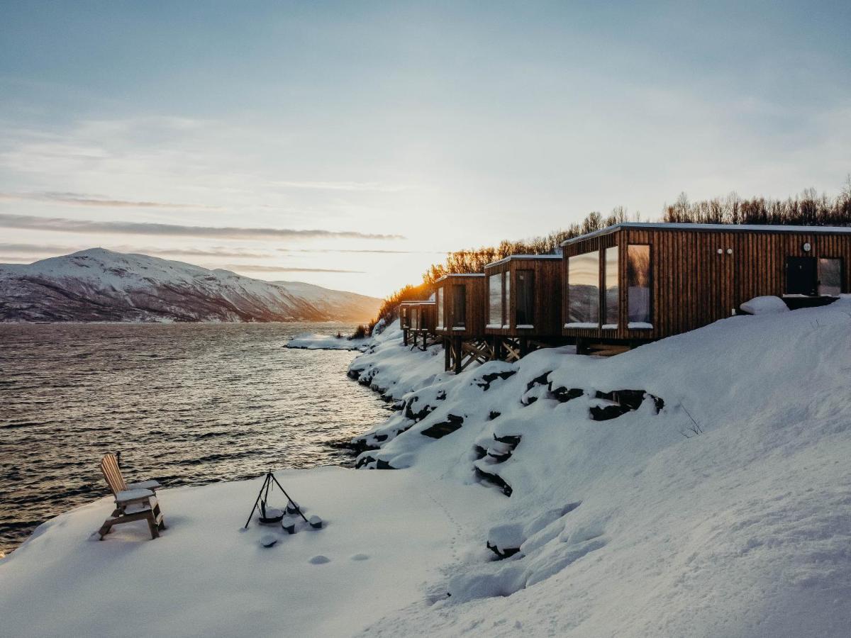 Aurora Fjord *