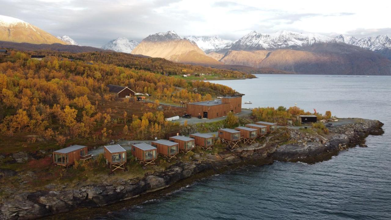Aurora Fjord * Lyngseidet