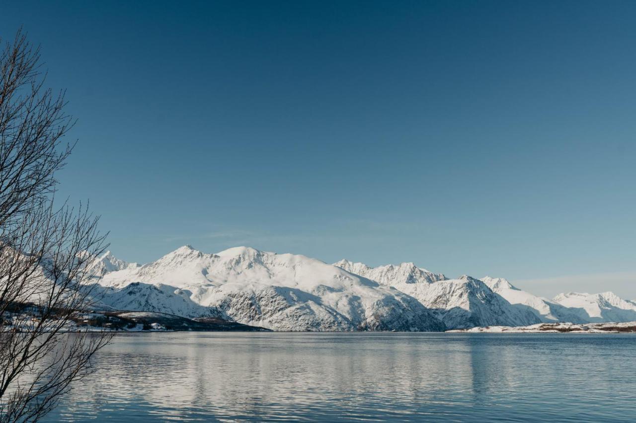 Aurora Fjord *