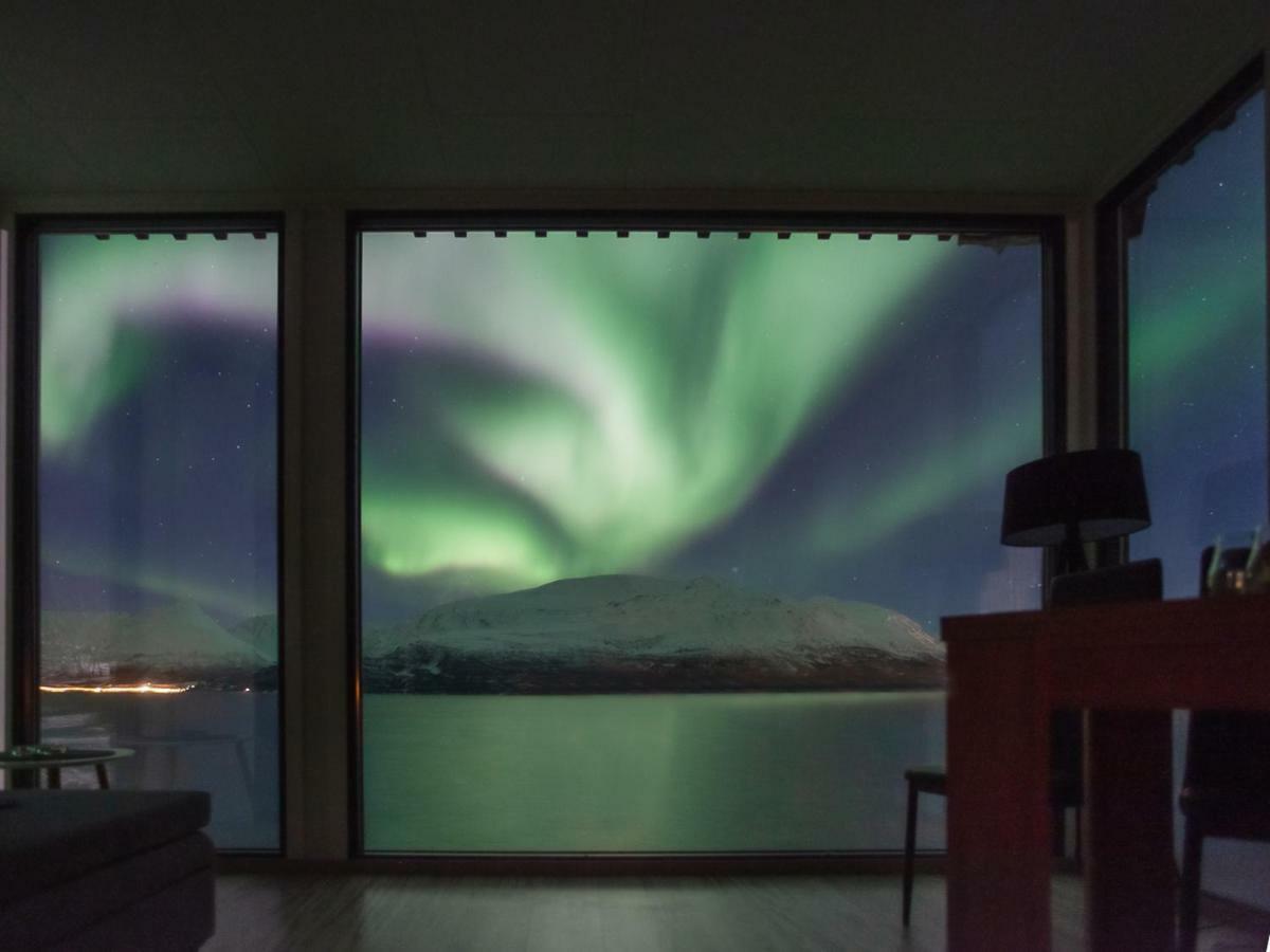 Aurora Fjord Lodge Lyngseidet
